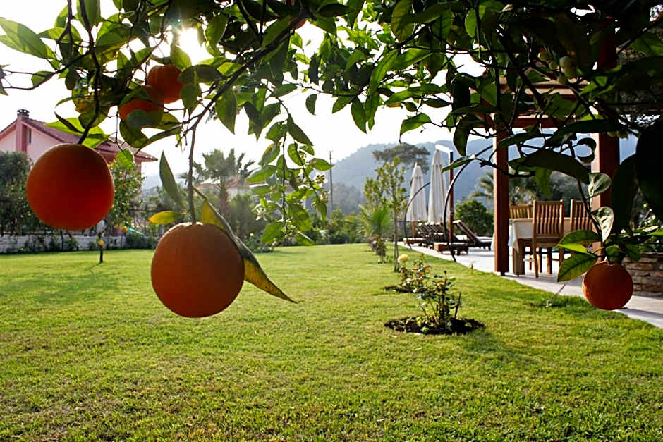 Gocek Arion Hotel