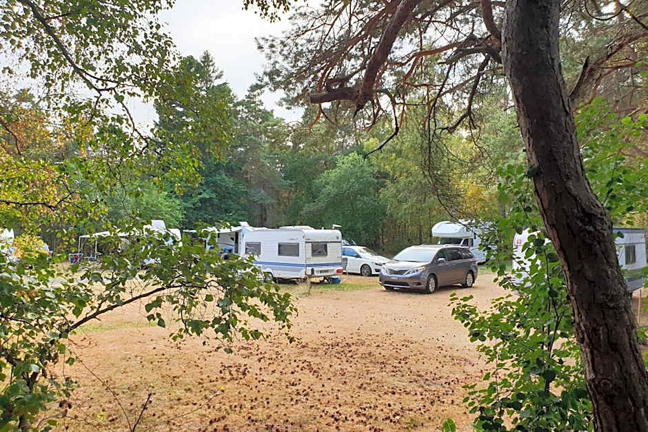 First Camp Lilleby