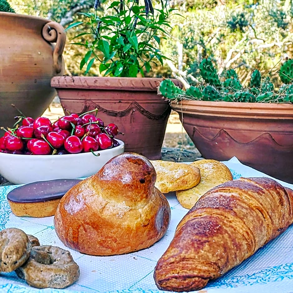 Masseria Fracchicchi