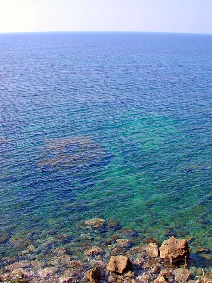 Residence Domus Cilento