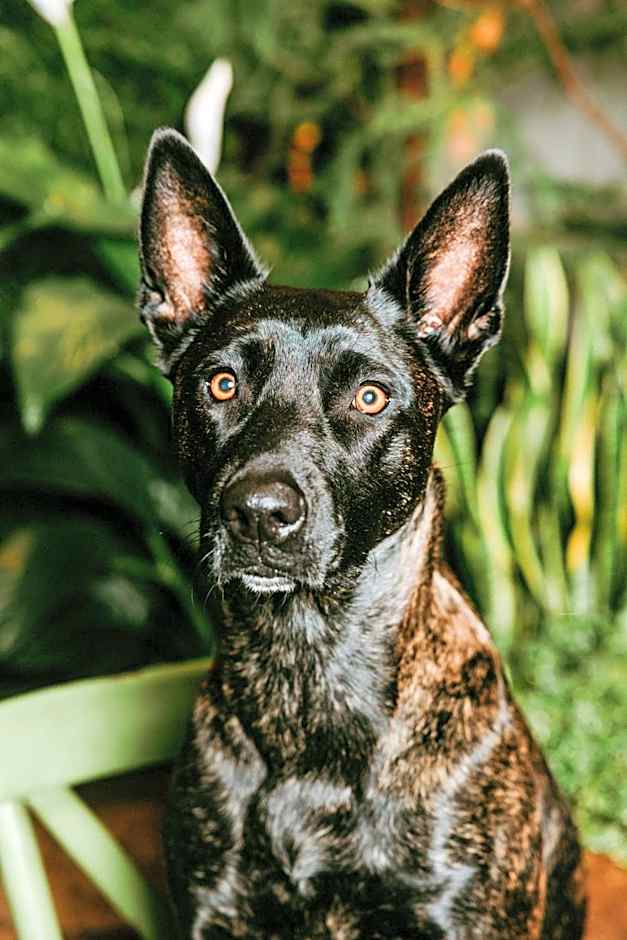 kerii - adults boutique hotel