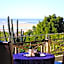 A Whale of a View Bed & Breakfast