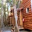 Cabañas Ensenada Bosque Nativo