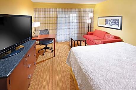 Room, 1 King Bed with Sofa bed (Mobility Accessible, Tub) (1 King Bed and 1 Double Sofa Bed)