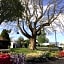 Waiteti Lakefront Motel
