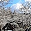 Kurokawa Onsen Oku no Yu