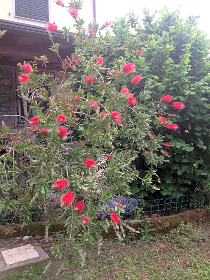 Podere Il Mulino