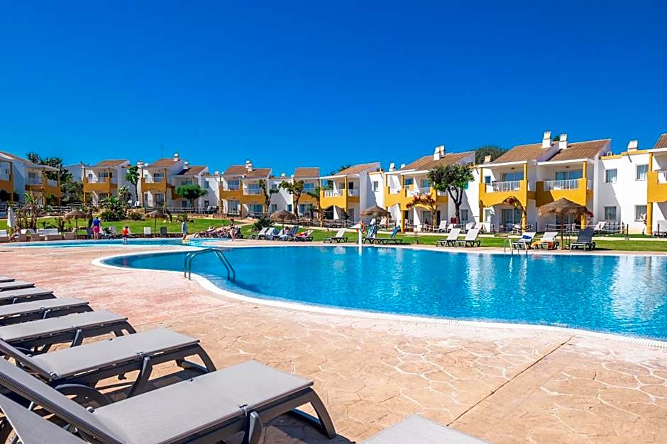 Comitas Isla del Aire