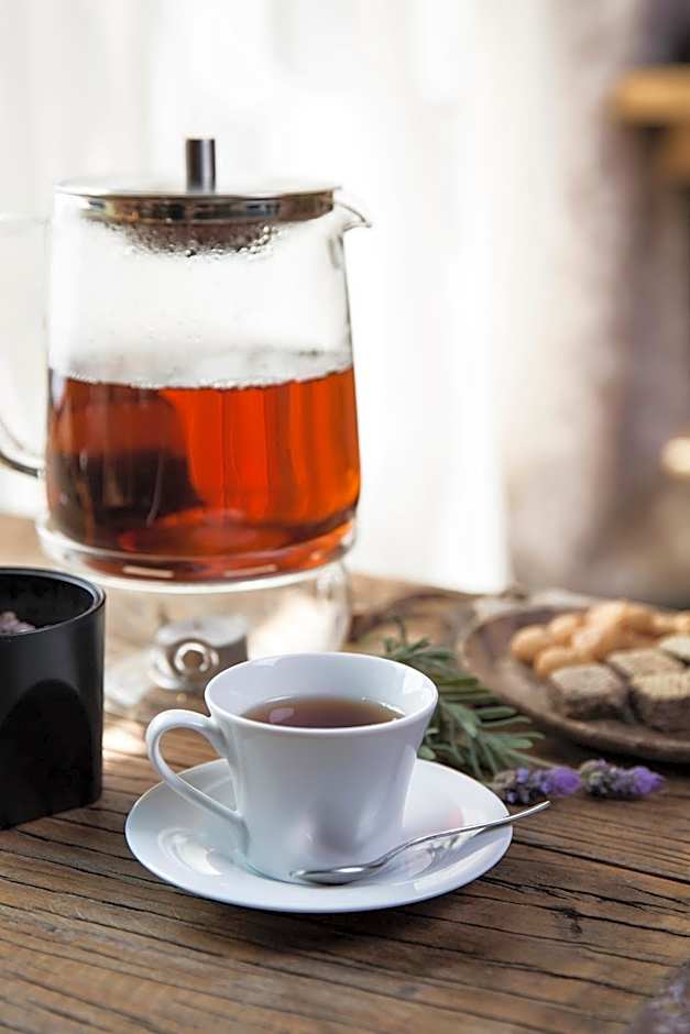 African Rock Hotel & Spa, a "Boutique Lifestyle Resort"