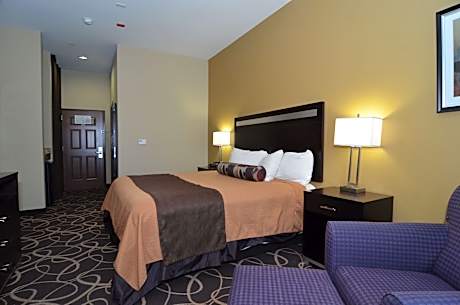 1 King Bed Non-Smoking Microwave Fridge Full Breakfast