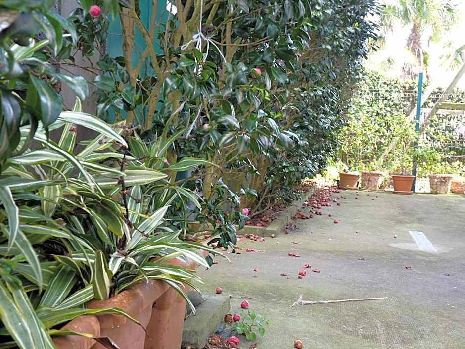 AZORES HOLIDAYS HOUSE -B&B - Suites - Self Check-in KEYBOARD