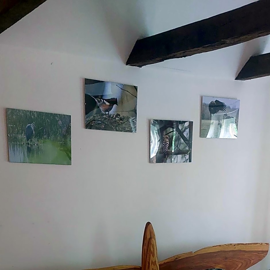 Dom na Mazurach Pilec