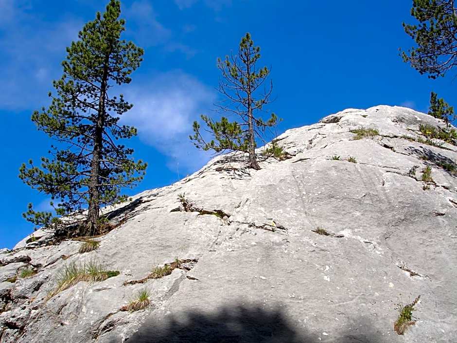 Gîte Auberge Les Terres Blanches de Méolans