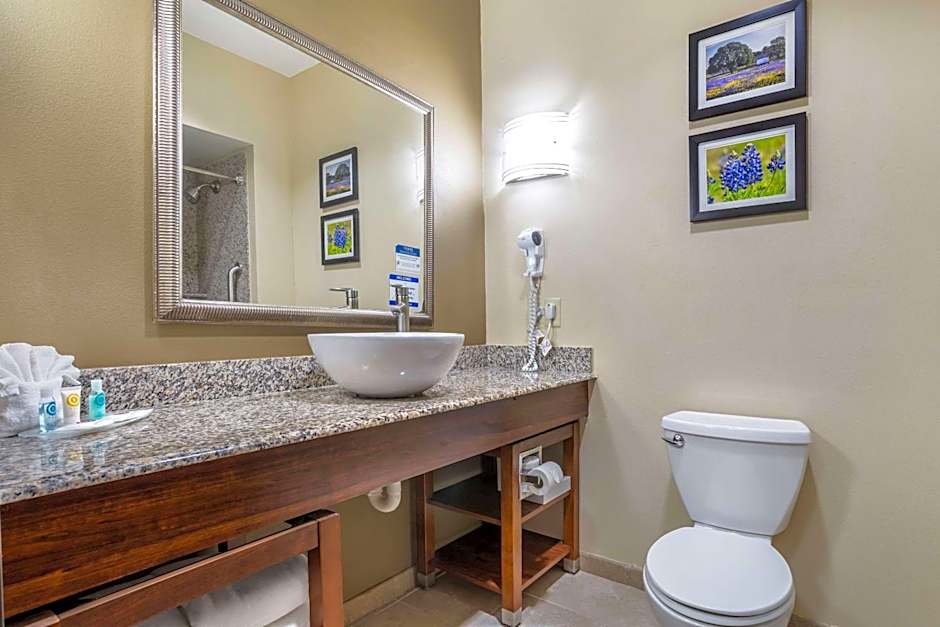 Comfort Suites Spring