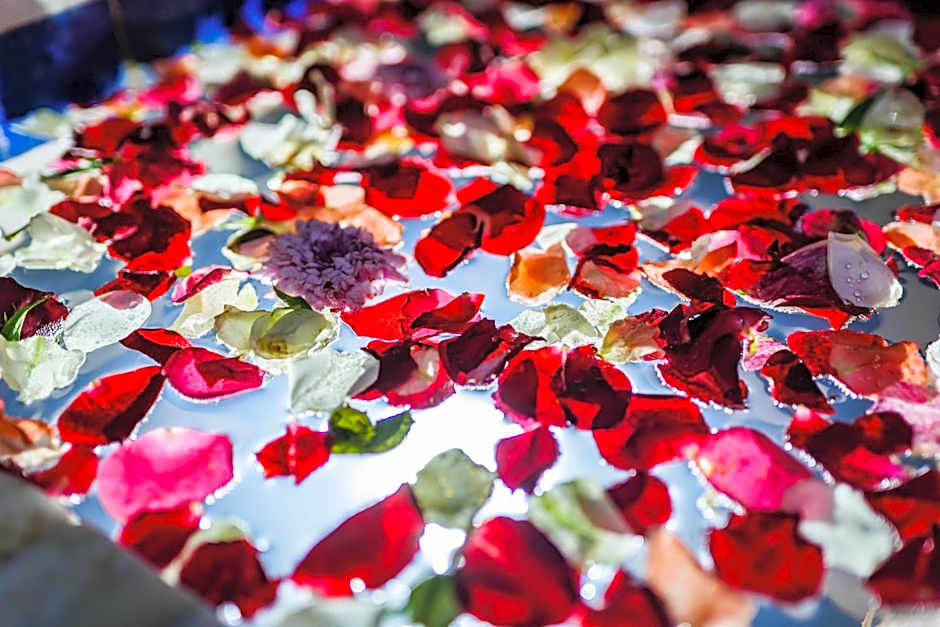 Riad Rcif Alif Suite & SPA