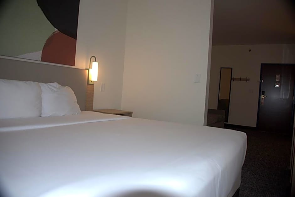 Spark by Hilton Amarillo East