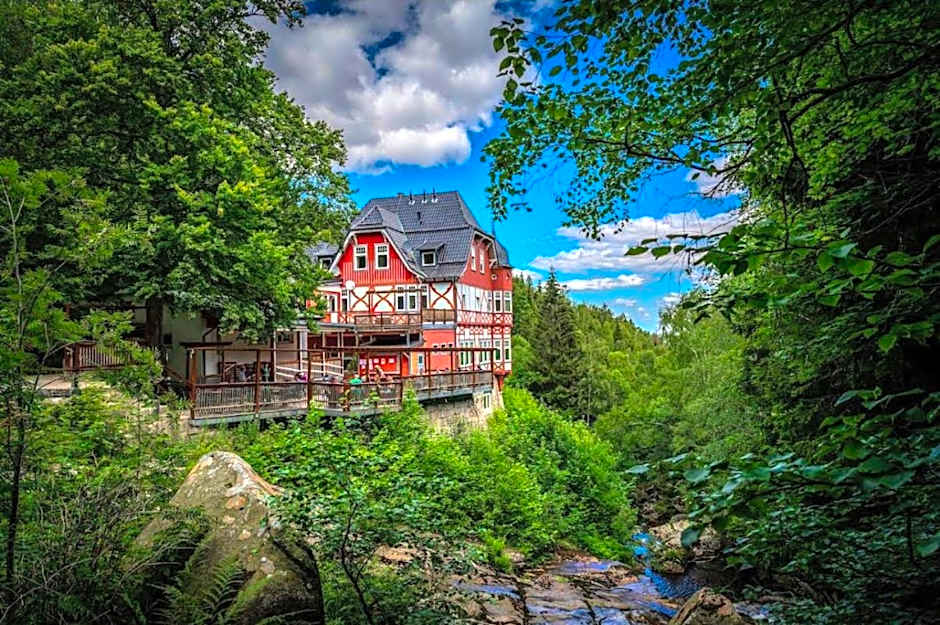 Waldgasthaus & Berghotel Steinerne Renne