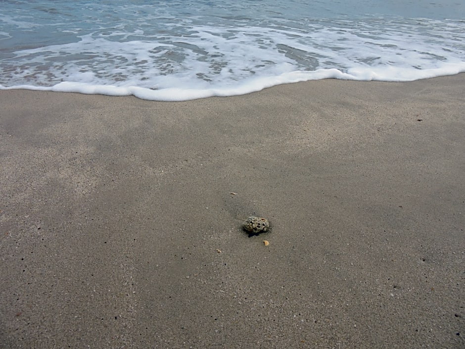 Bahagia Villa Apartment