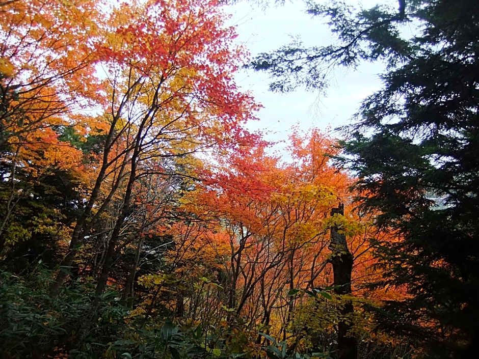 Shiga Park Hotel
