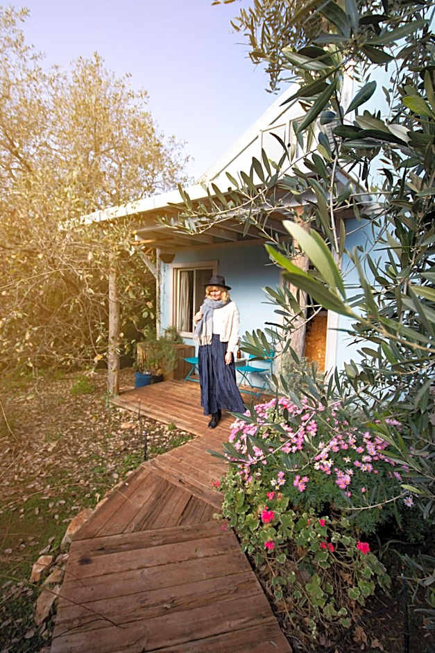 Blue House In The Woods- Amirim