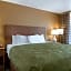 Quality Inn Saint Petersburg North-Tampa Bay