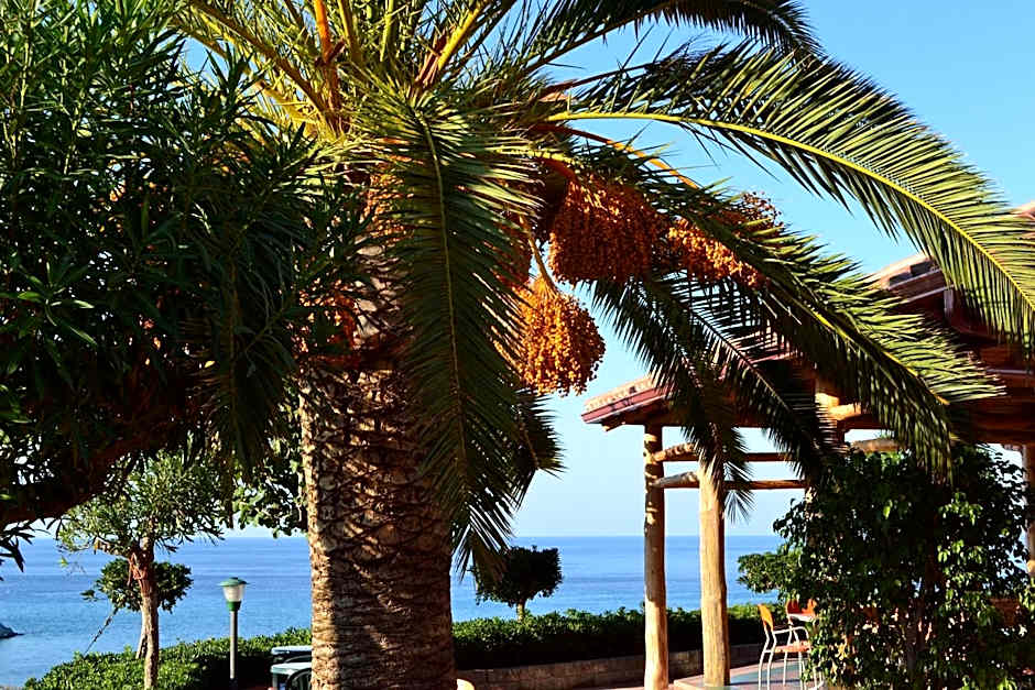 Residence New Paradise