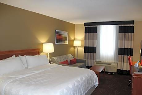 Standard King Room with Sofa Bed