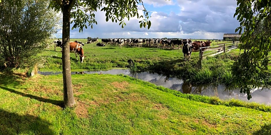 Slapen op het platteland