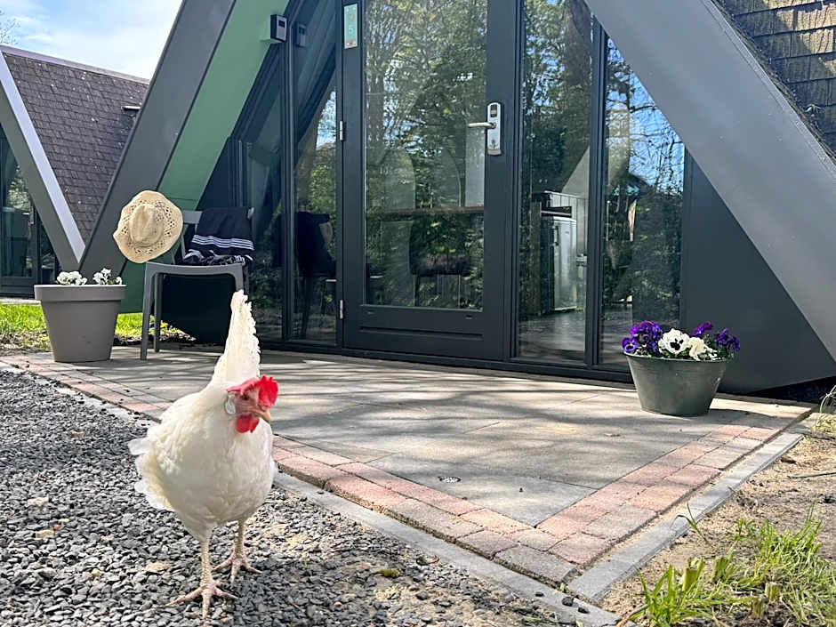 Hotelhuisjes Medemblik