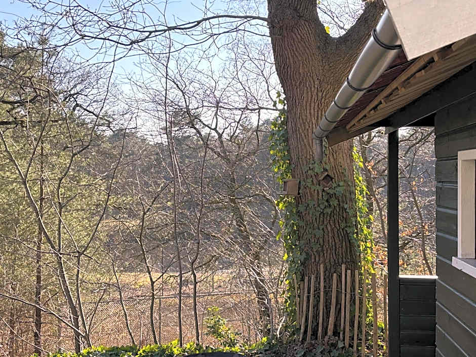 Vakantiehuis de Witte Bergen