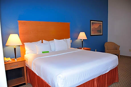 1 King Bed, Suite, Non-Smoking