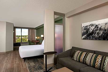 King Room with Sofa Bed and Accessible Tub - Disability Access