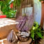 Hotel Jaiba Mahahual - Adults Only