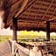 Hotel Jaiba Mahahual - Adults Only