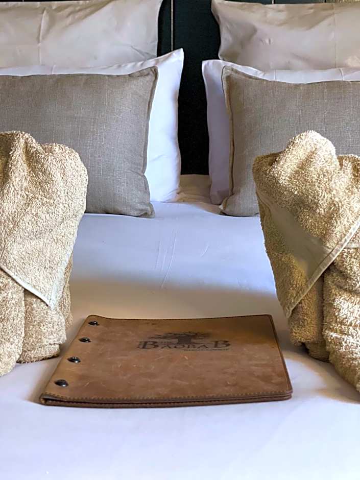 The Baobab Bush Lodge and Villa
