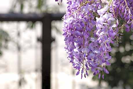 Economy Double or Twin Room