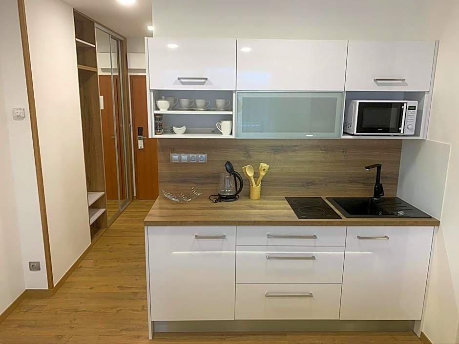 Wellness & Spa Apartments Lipno - Frymburk