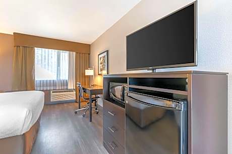 1 Queen Bed, Non-Smoking, Pet Friendly Room, High Speed Internet Access, Microwave And Refrigerator,