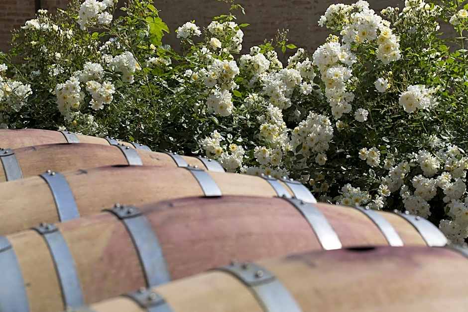 Marchesi Alfieri - Cantine e Ospitalità