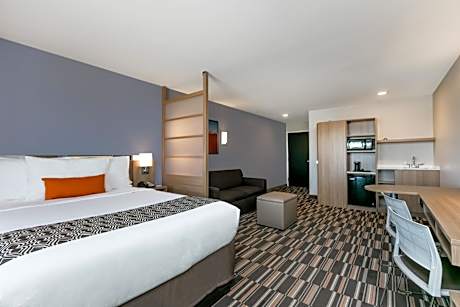 1 Queen Bed Studio Suite Non-Smoking