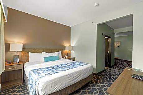 1 King Bed, Non-Smoking