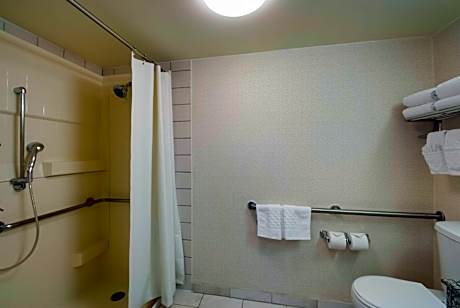 1 Queen Mobility Accessible CommunicationAssistance Roll In Shower Desk Refrigerator Full Breakfast