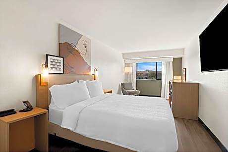 1 Queen Bed