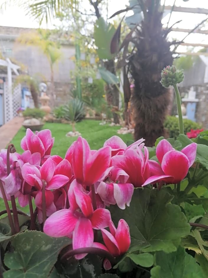 B&B PLANO DE LACZARULO