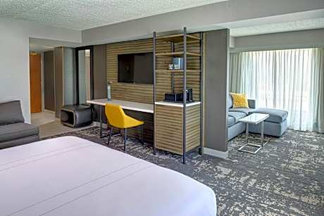 1 Bedroom Junior Suite, 1 King, Sofa beds: 2