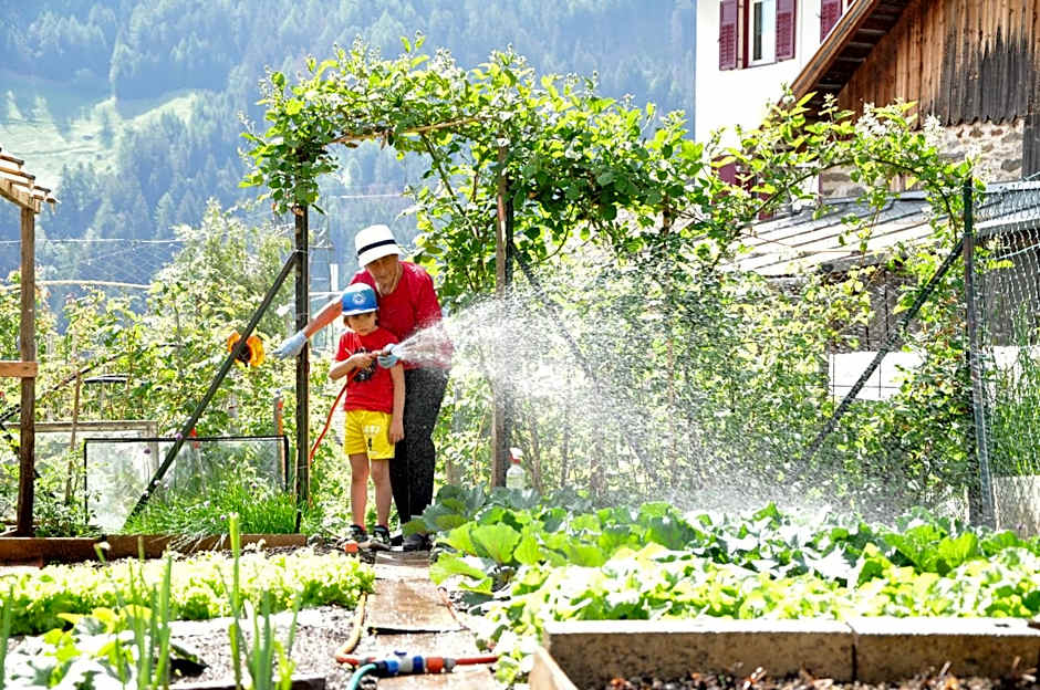 Hotel Traube - Stelvio