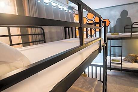 Mixed Dormitory - 4 Bunk Beds