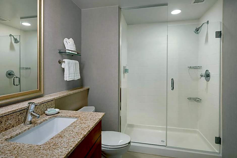 Residence Inn by Marriott Fairfax City