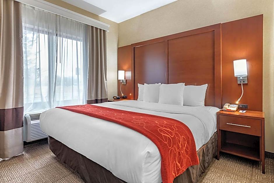 Comfort Suites Elkhart South