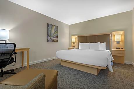 Accessible - Suite King Bed, Mobility Accessible, Communication Assistance, Walk In Shower, Two Sofa